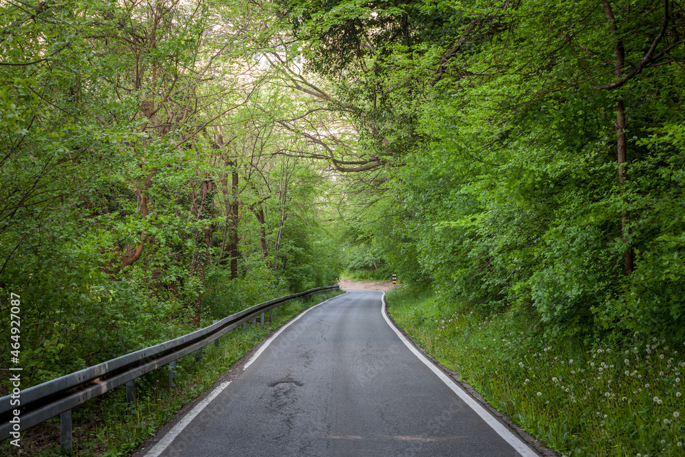 Typical spring landscape with a paved road in the middle of a deep forest and trees with green colors during the spring season, with their foliage, in a European rural environment... Typical spring landscape with a paved road in the middle of a deep forest and trees with green colors during the spring season, with their foliage, in a European rural environment...