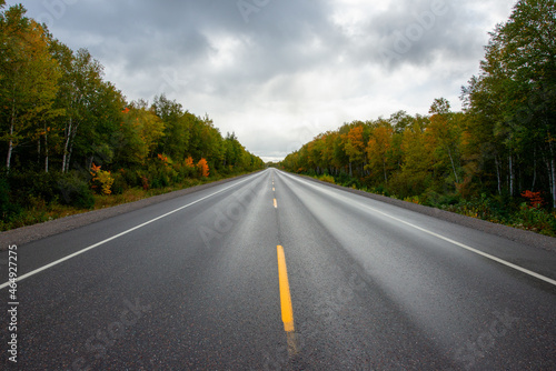 A two lane road of dark wet black asphalt with a single yellow line down the middle. There are colorful autumn trees on both sides. There's a blue sky with white fluffy clouds in the background. 