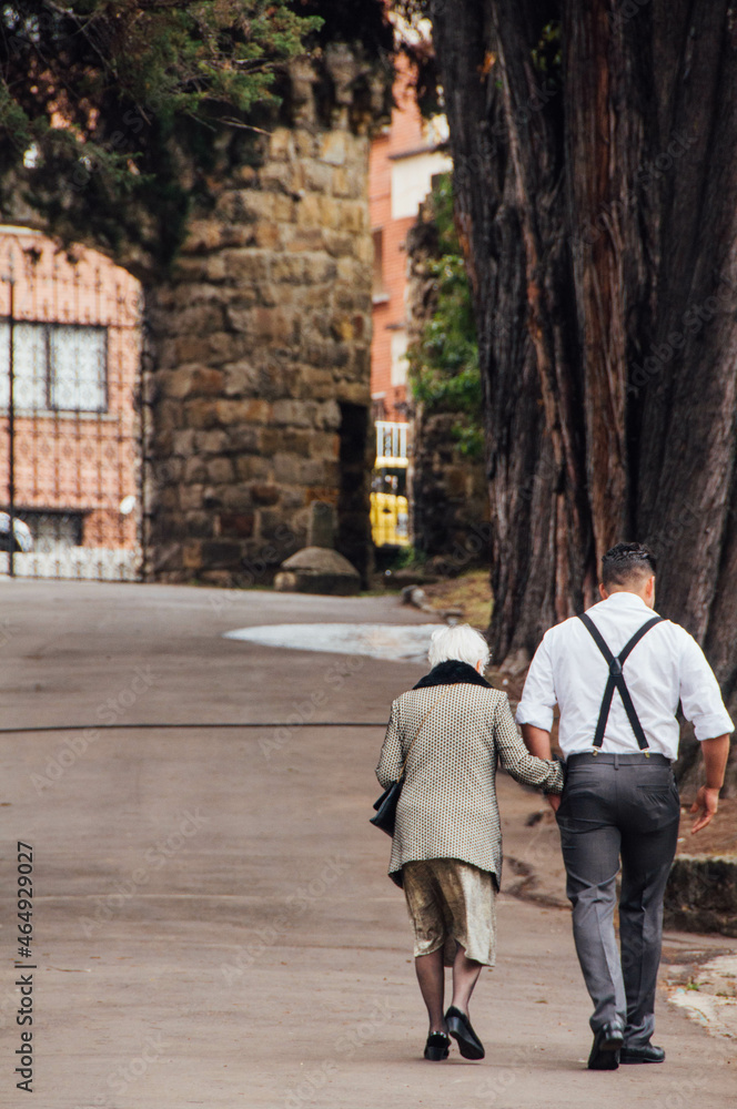 people walking in the park