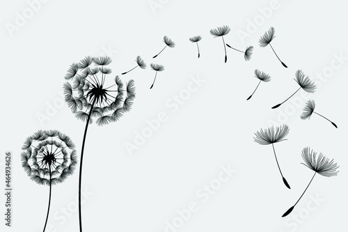 Flying dandelion seeds  vector icon. Vector isolated decoration element from scattered silhouettes. 