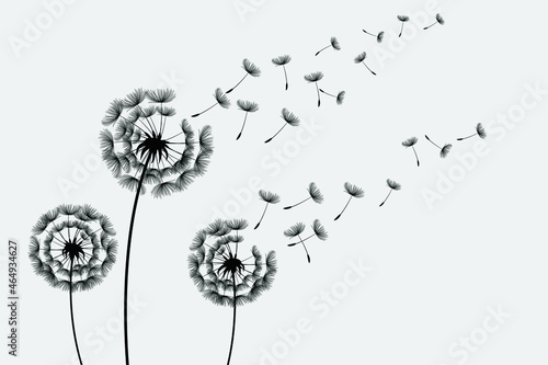 Flying dandelion seeds  vector icon. Vector isolated decoration element from scattered silhouettes. 