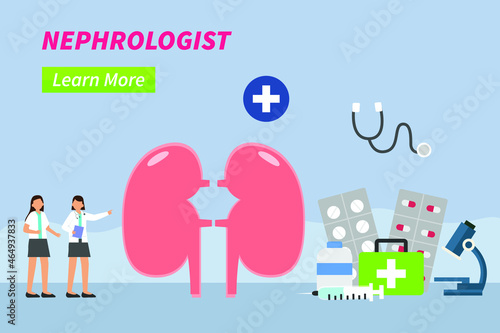 Nephrologist vector concept. Two female doctors examining kidney organ while standing with nephrologist word background