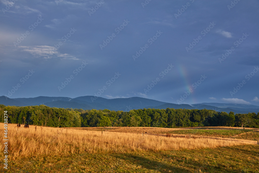 Virginia Countryside