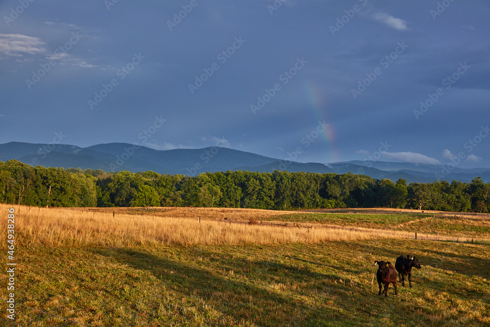 Fototapeta premium Virginia Countryside