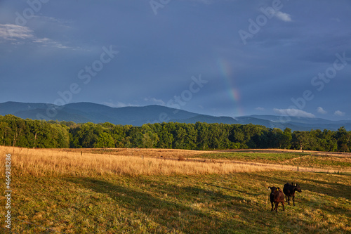 Virginia Countryside