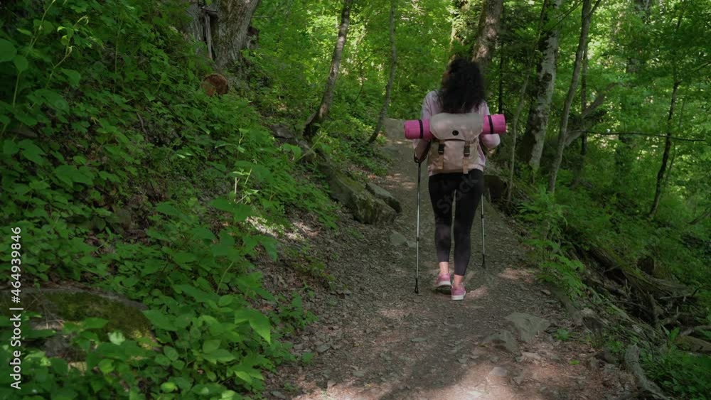 young woman is hiking with backpack and sticks for walking in forest young woman is hiking with backpack and sticks for walking in forest