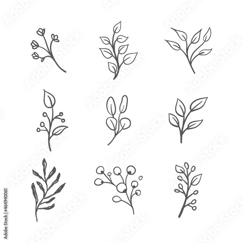 Hand drawn floral ornaments. Branches and leaves doodle collection. Decorative plants illustrations.