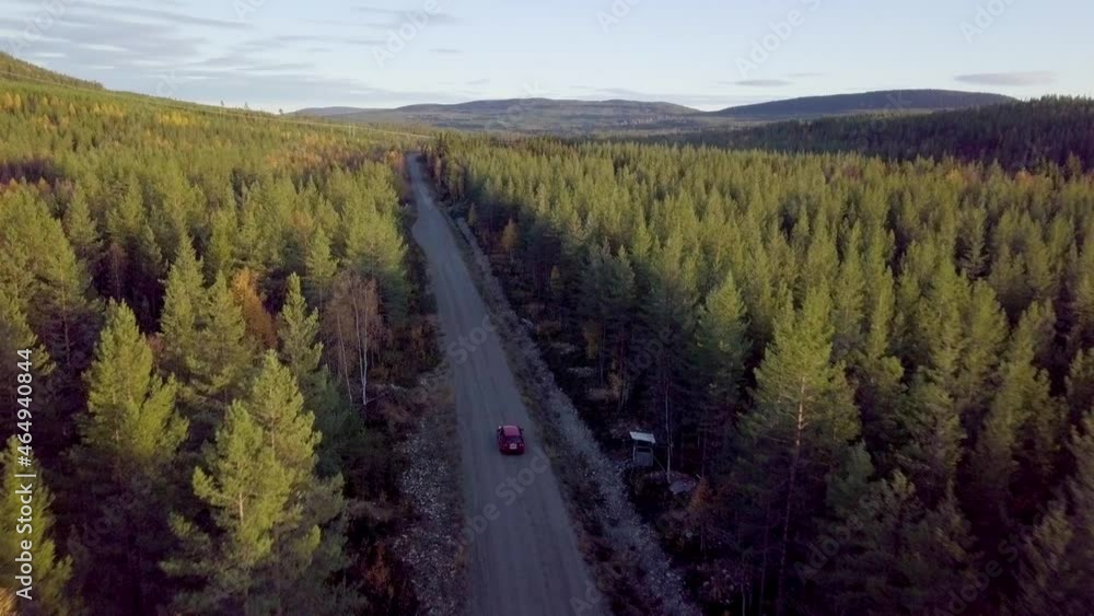 Drone car driving through green pine trees forest hill mountain sunny evening empty road on a sunny evening Drone car driving through green pine trees forest hill mountain sunny evening empty road on a sunny evening