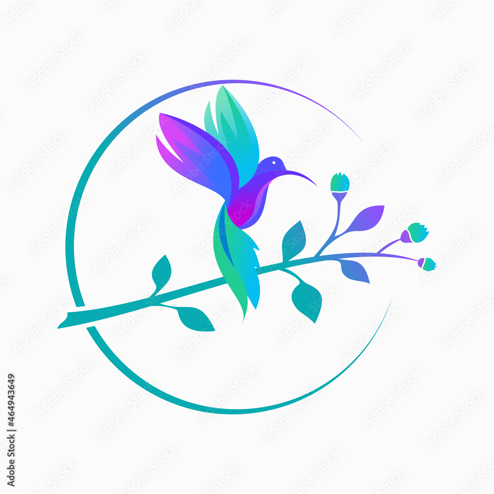 Fototapeta premium hummingbird colibri bird logo