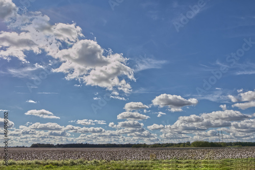 istant Cloudscapes over cottonc farmland in rural Georgia photo