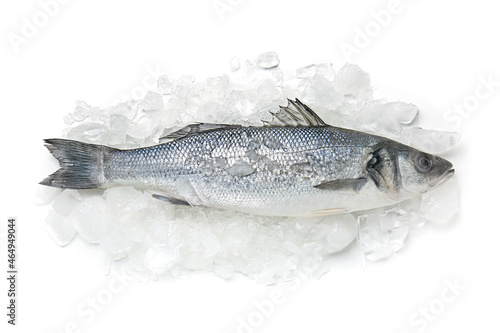 Fresh uncooked sea bass fis...