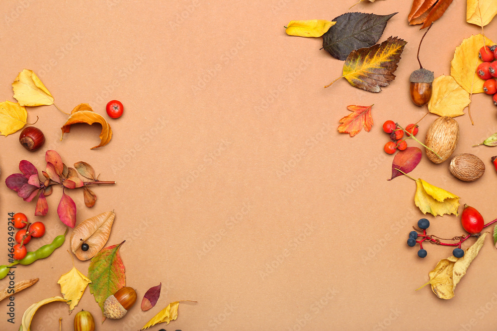 Dry leaves, berries and acorns on color background