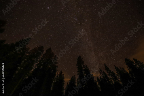A Star Filled Night at Mt. Shasta! 
