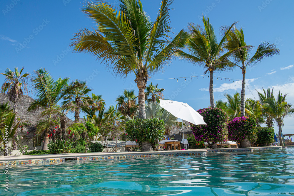 Swimming pool with palm trees under a blue sky, summer vacation concept, la paz, todos santos baja california sur, mexico