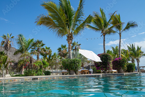 Swimming pool with palm trees under a blue sky  summer vacation concept  la paz  todos santos baja california sur  mexico