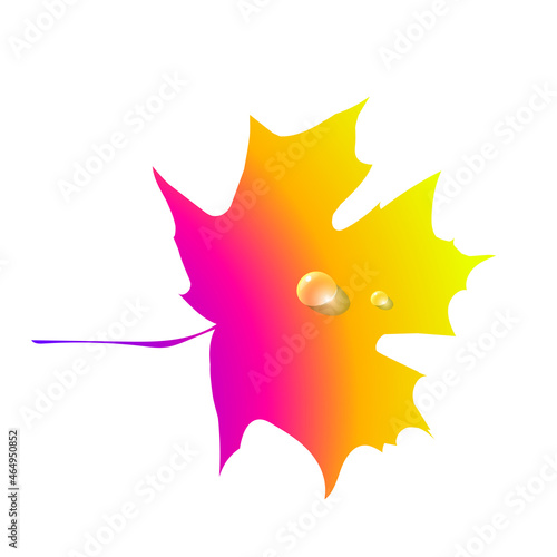 Gradient silhouette maple autumn leaf, object isolated. Vector.
