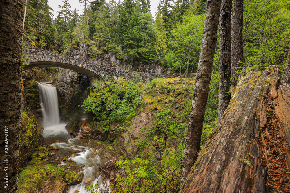 Christine Falls Christine Falls
