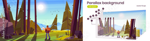 Hiker man with map and backpack in forest with coniferous trees, stones and mountains on horizon. Vector parallax background for 2d animation with cartoon summer woods landscape with tourist