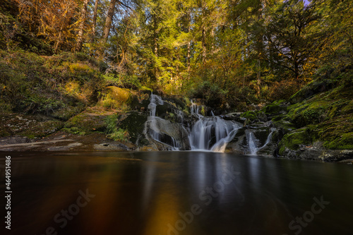 Sweet Creek Falls