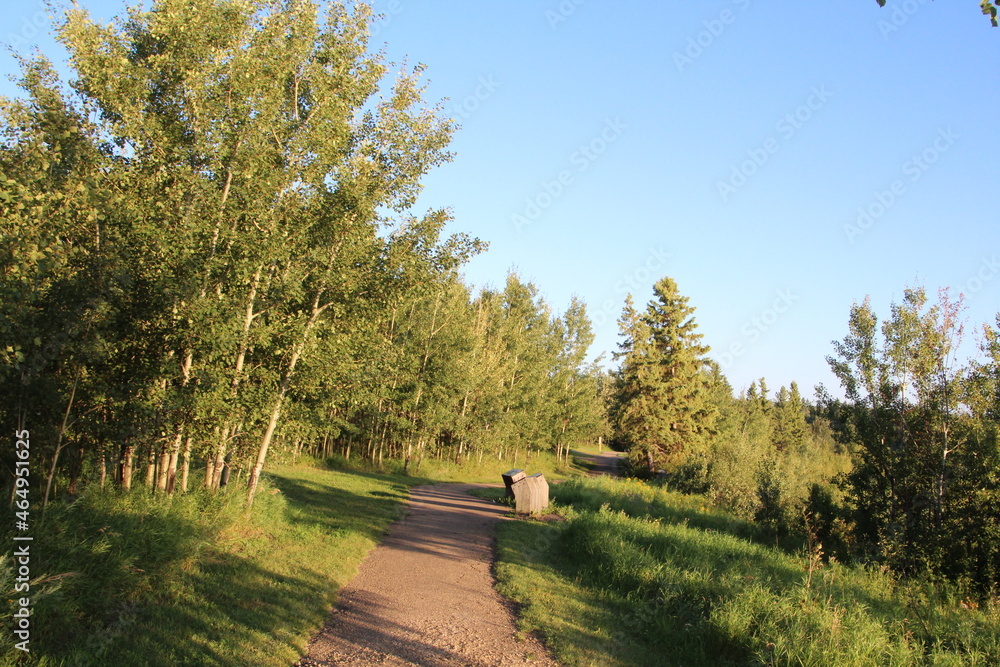 Obraz premium Summer Evening On The Trail, Elk Island National Park, Alberta