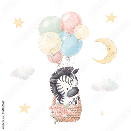 Set of cute cartoon zebra in a hot air balloon. Watercolor illustration
