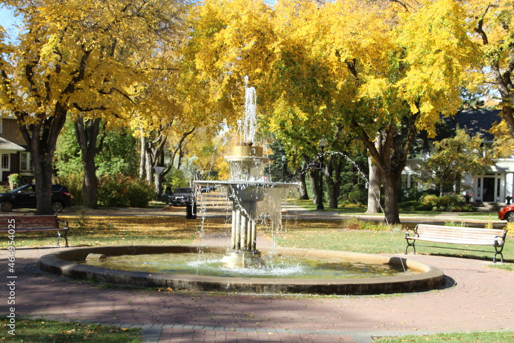 fountain in the park