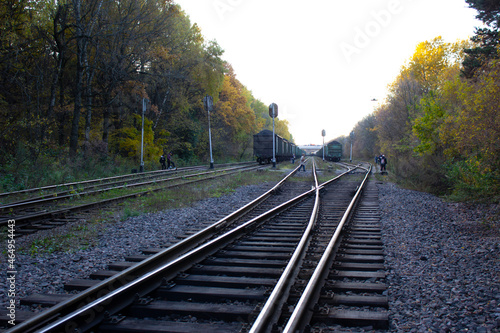 Railway tracks.Trains and wagons standing on the railway tracks against the background of autumn nature.