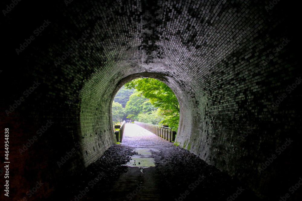 Obraz premium 碓氷第三橋梁