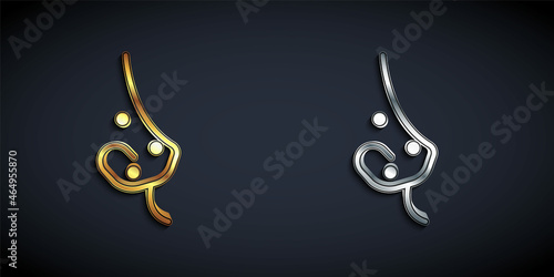 Gold and silver Acne icon isolated on black background. Inflamed pimple on the skin. The sebum in the clogged pore promotes the growth of a bacteria. Long shadow style. Vector