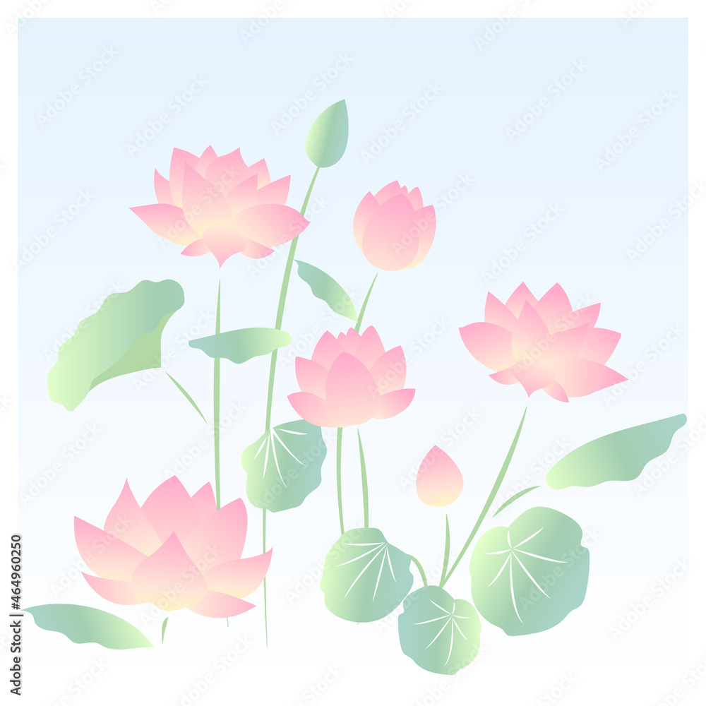 自然に咲く蓮の花のイラスト
