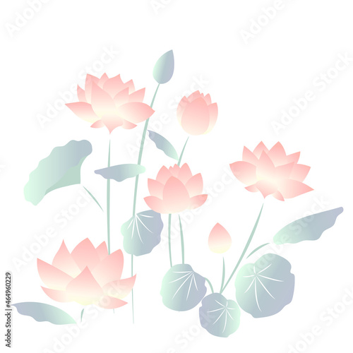 自然に咲く蓮の花のイラスト
