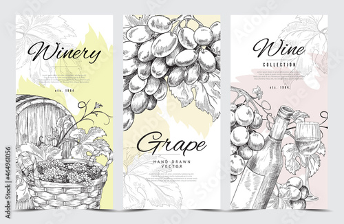 Vector design of vintage banners with grape vines, wine bottle, glass and cask