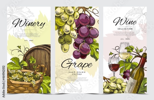 Cards or flyers for winery shop and wine production vector illustration.