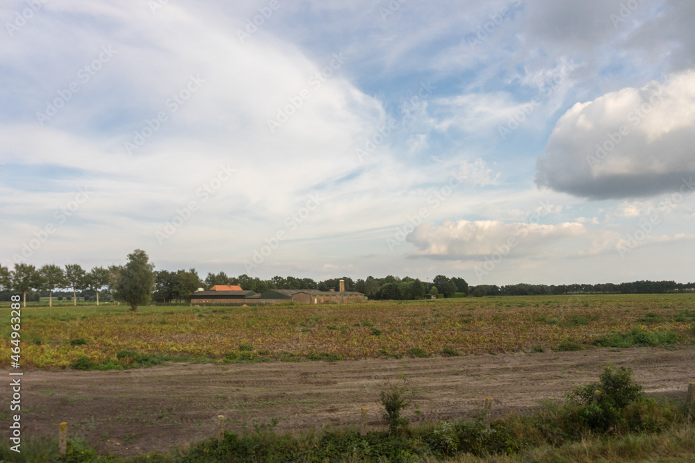 Antwerp, Belgium, a large green field with trees in the background Antwerp, Belgium, a large green field with trees in the background