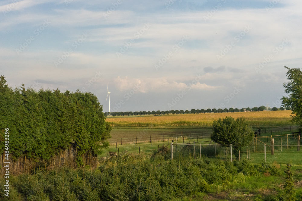 Naklejka premium Antwerp, Belgium