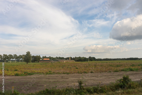 Antwerp, Belgium, a large green field with trees in the background © SkandaRamana
