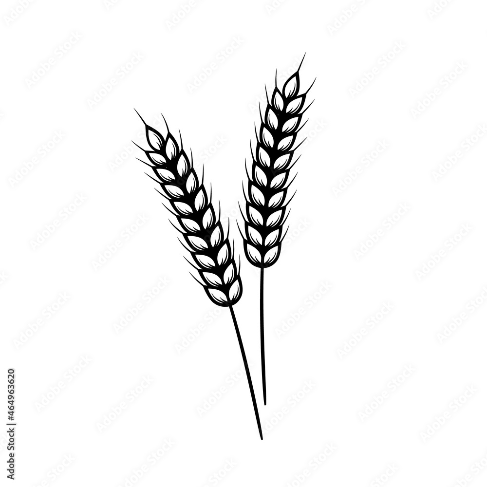 Wheat ears icon. Agricultural symbol isolated on white background. Vector illustration. Wheat ears icon. Agricultural symbol isolated on white background. Vector illustration.