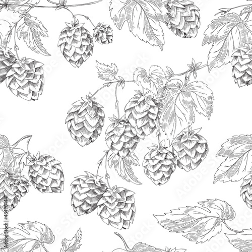 Botanical seamless black and white pattern with branches, leaves and flowers of hops. Vector hand drawn background.