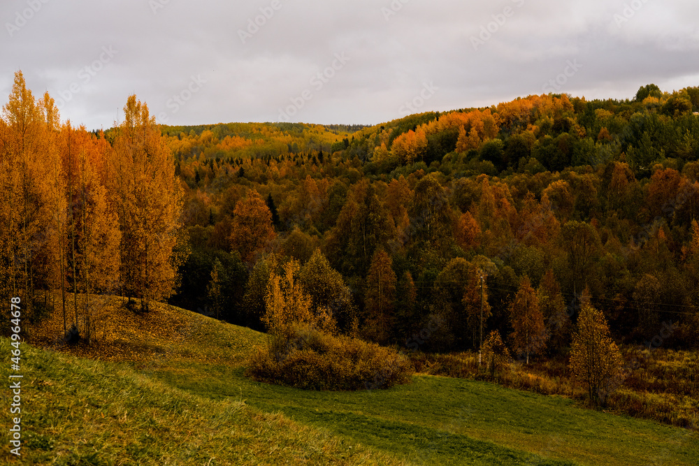 Hilly landscape with autumn bright trees in yellow, orange, green and brown. High quality photo Hilly landscape with autumn bright trees in yellow, orange, green and brown. High quality photo