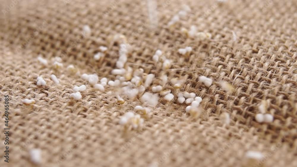 Popped amaranth grains. Falling dry amaranthus seeds on a rustic burlap in slow motion. Macro. Dolly shot. Superfood concept