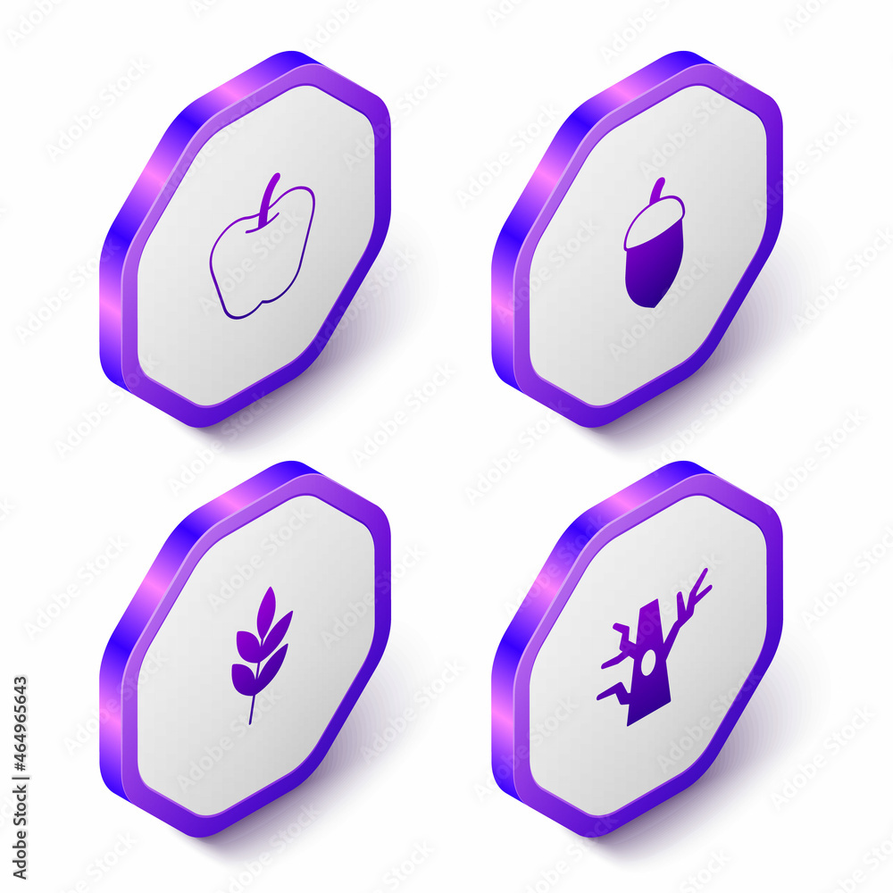 Set Isometric Apple, Acorn, Leaf and Bare tree icon. Purple hexagon button. Vector Set Isometric Apple, Acorn, Leaf and Bare tree icon. Purple hexagon button. Vector