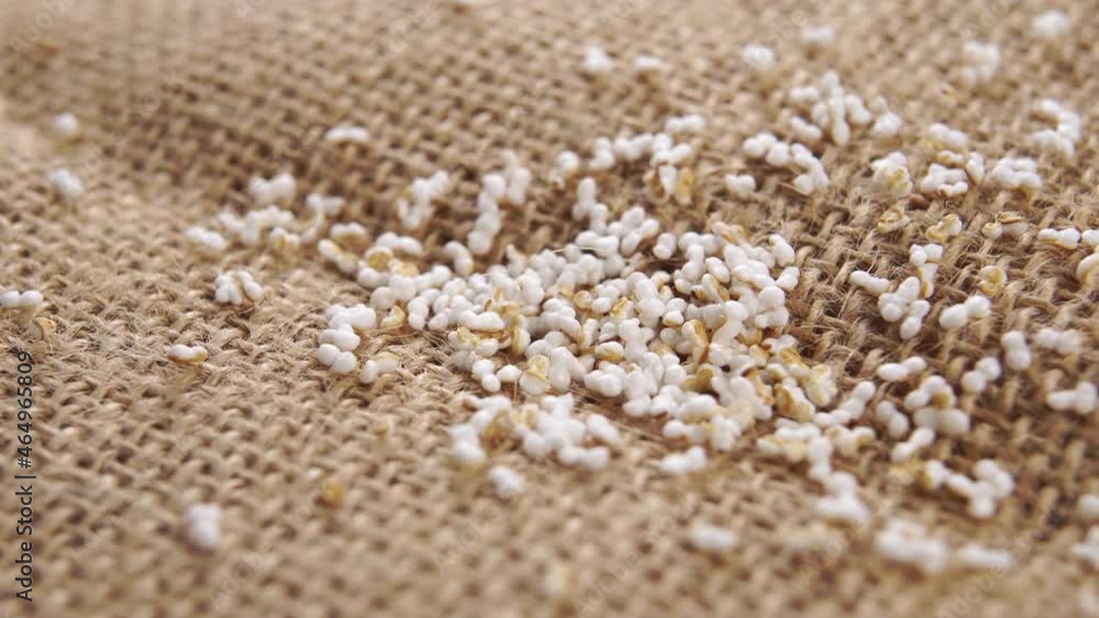 Amaranth popping, puffed grains on a rustic burlap. Pseudocereal food, gluten free. Macro. Dolly shot Amaranth popping, puffed grains on a rustic burlap. Pseudocereal food, gluten free. Macro. Dolly shot