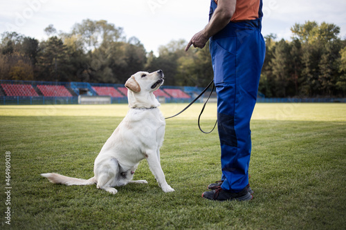 Time to study.man training his dog.