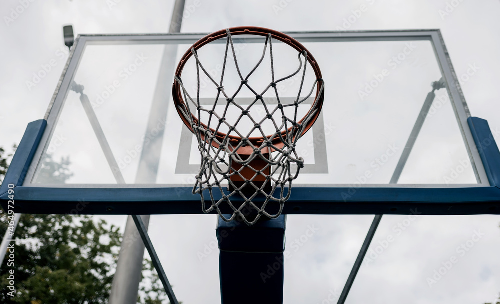 Basketball Shield with a ring
