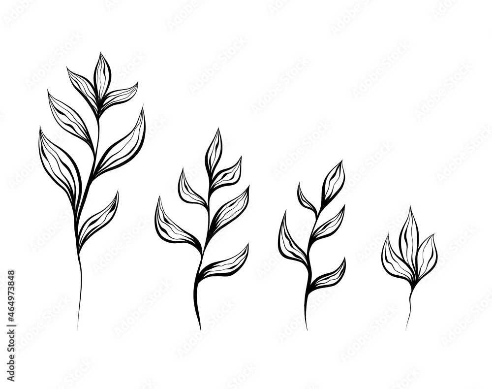 Fototapeta premium Monochrome natural set of sketches of plants and stems with foliage on white background. Vector outline herbal image with branch with leaves isolated from background.