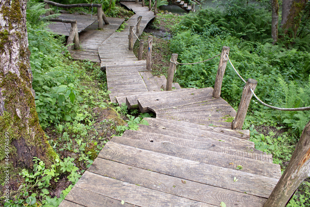 Fototapeta premium Old wooden path or boardwalk with stairs in forest. Recreation park. Ecology and nature safety. Forest scene.