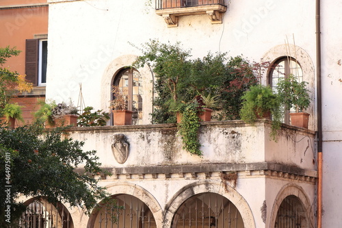 Canvas Print Fiammetta's House Terrace with Green Plants in Rome, Italy