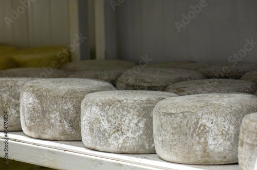 Shelves with aged cheeses. Cheese row