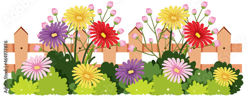 Beautiful spring flower on white background