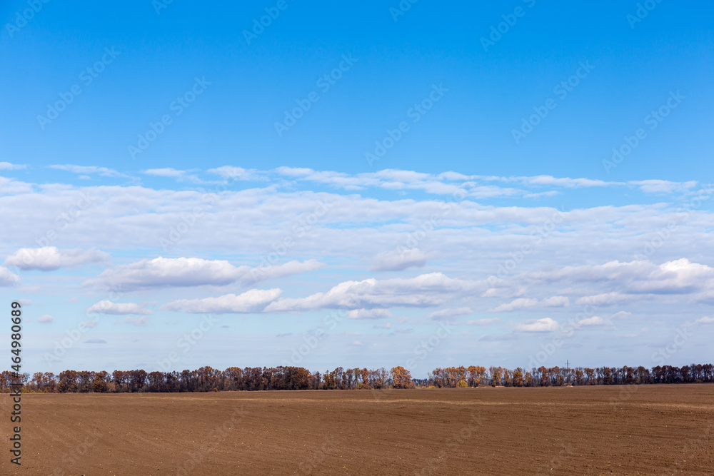 Processed agricultural grounds against the distant forest and sky